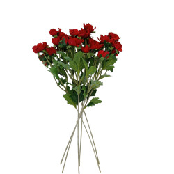 Sasanka Anemonka 6 ks červená 62 cm