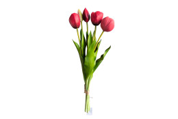 Tulipán svazek 5 ks červený 39 cm