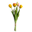 Tulipán svazek žluto-oranžový, 5 ks