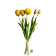 Tulipán svazek zeleno-žlutý, 5 ks