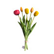 Tulipán svazek žluto-červený, 5 ks