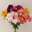 Kytice vázaná alstromerie mix 63 cm