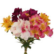 Kytice vázaná alstromerie mix 63 cm