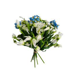 Kytice jarní sněženky a pomněnky, 8 ks, v. 30 cm