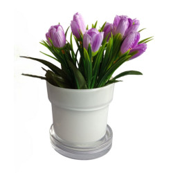 Obal 2 ks skleněný bílý 12 cm