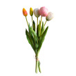 Tulipán svazek bílo-růžový, 5 ks