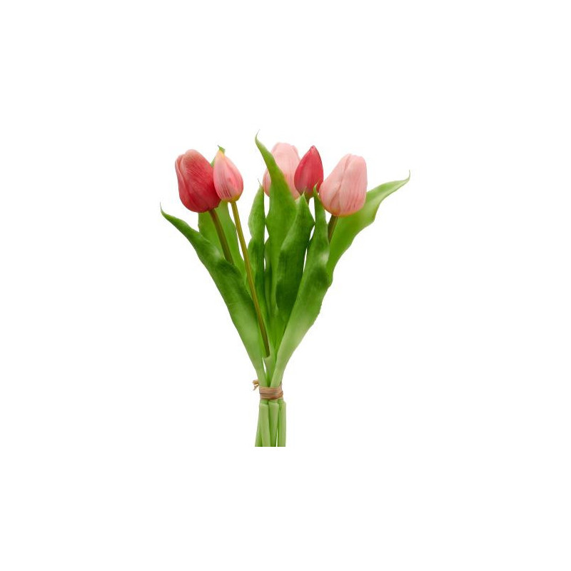 Tulipán svazek 5 ks světle růžová 31 cm