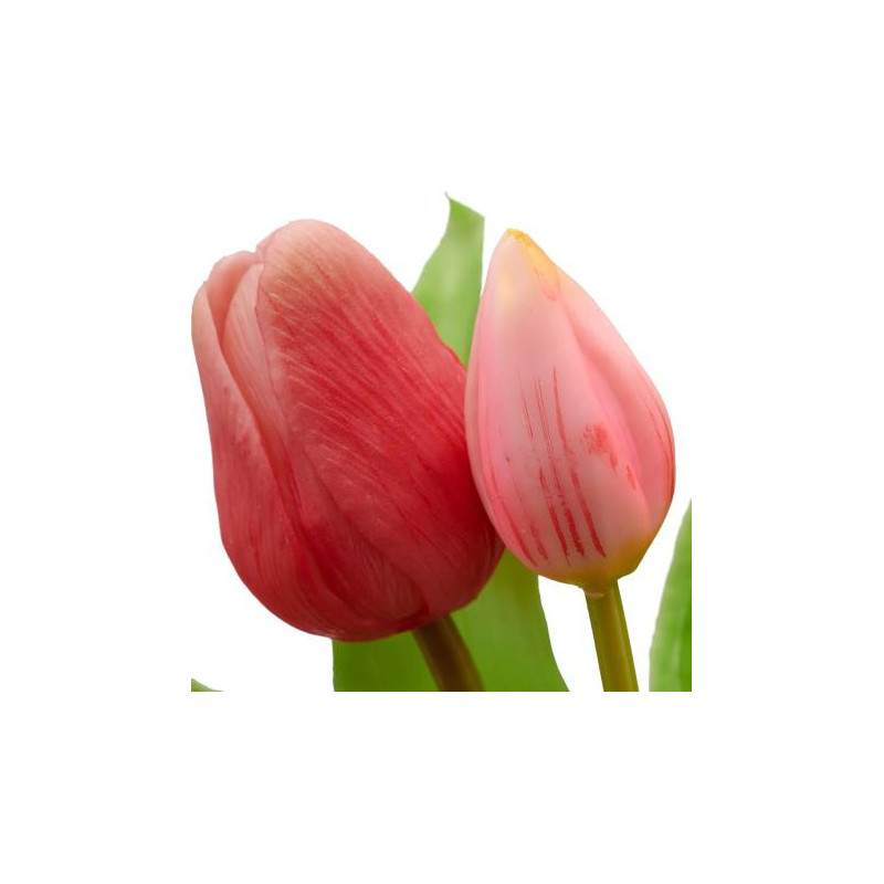 Tulipán svazek 5 ks světle růžová 31 cm