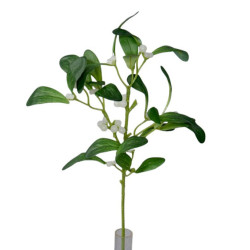 Jmelí zelené 41 cm