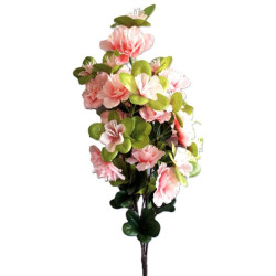 Azalka bílo-růžová keřík 52 cm