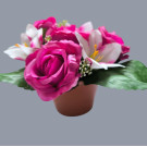 Růže s lilií v květináči fuchsiová 17 cm
