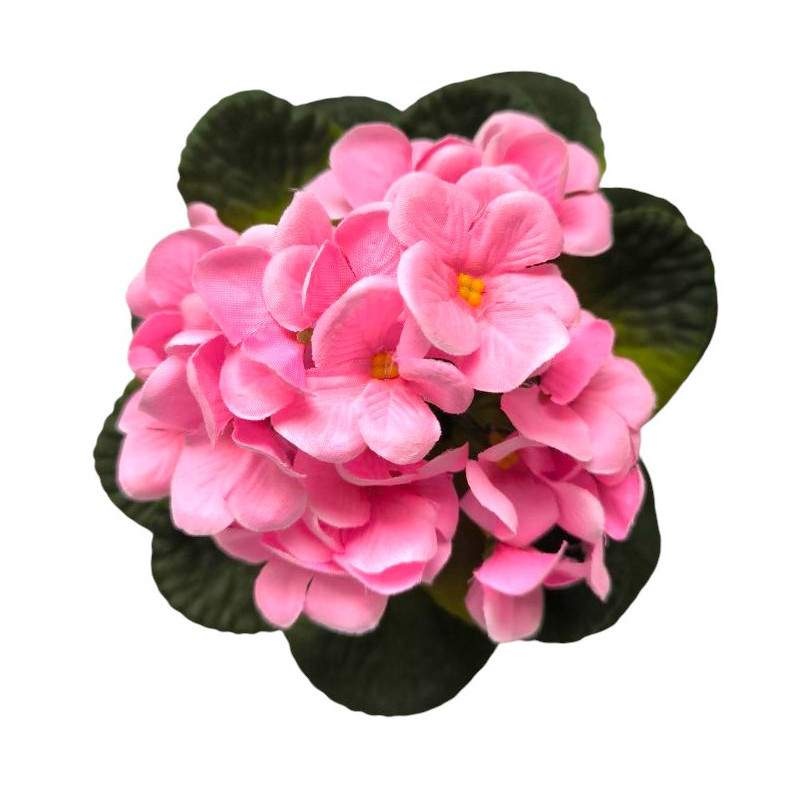 Fialka v květináči růžová 17 cm