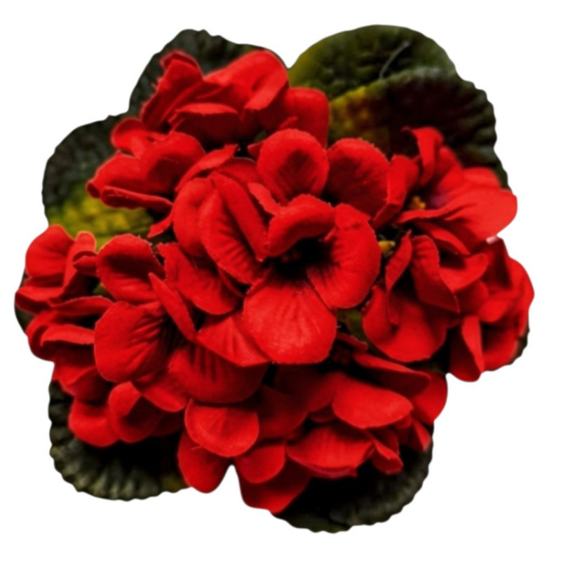 Fialka v květináči červená 17 cm