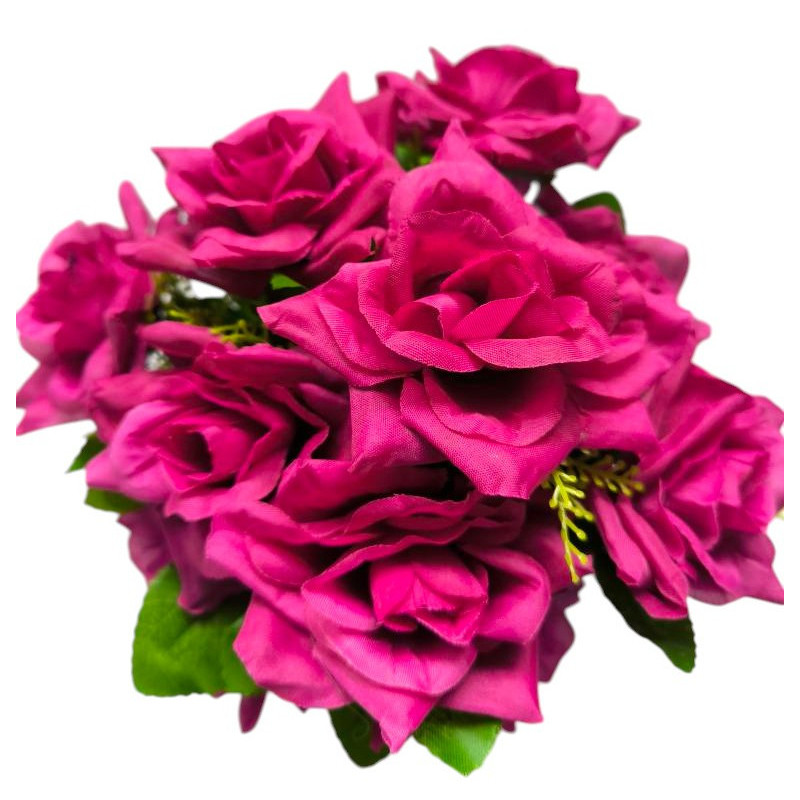 Růže v květináči fuchsie 22 cm
