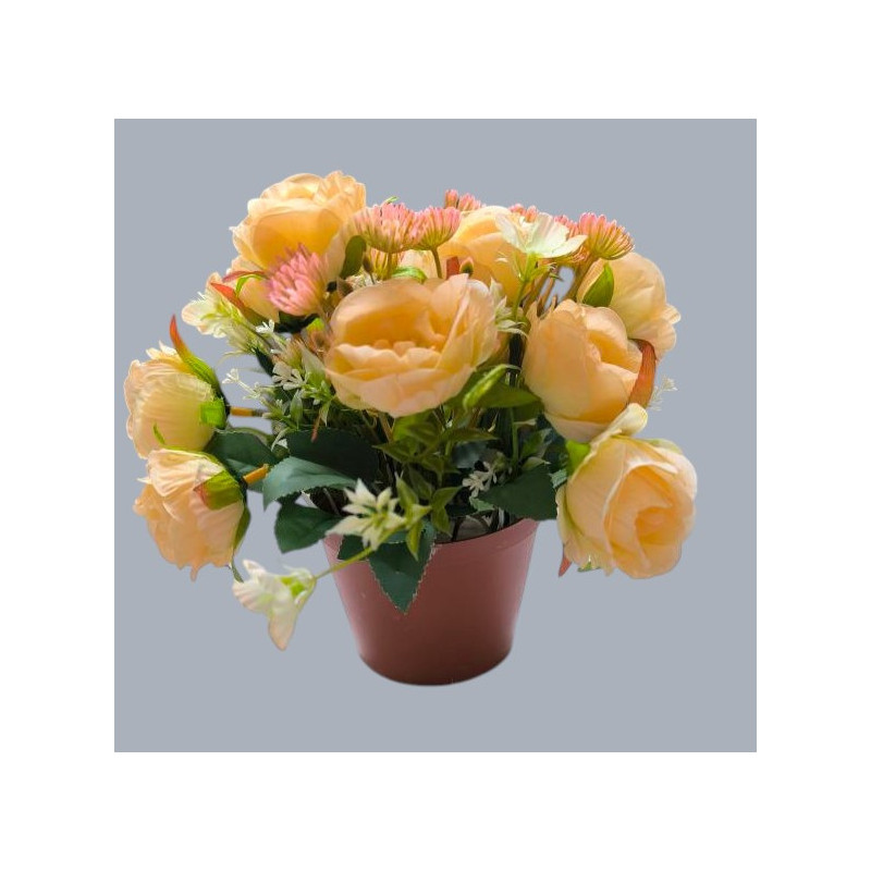 Růže s přízdobou v květináči sv. broskvová 22 cm