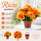 Růže v květináči oranžová 22 cm