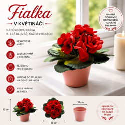 Fialka v květináči červená 17 cm