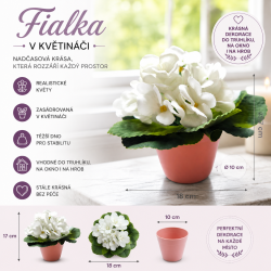 Fialka v květináči bílá 17 cm
