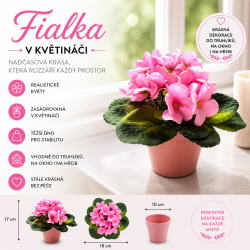 Fialka v květináči růžová 17 cm