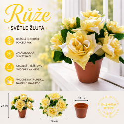 Růže v květináči sv. žlutá 22 cm