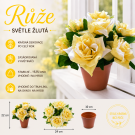 Růže v květináči sv. žlutá 22 cm