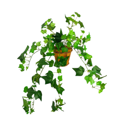 Břečťan v bambusovém květináči v 23 cm