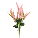 Vřes Erica sv. růžová 38 cm