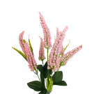 Vřes Erica sv. růžová 38 cm
