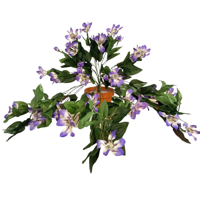 Klematis převis fialový 45 cm