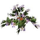 Klematis převis fialový 45 cm