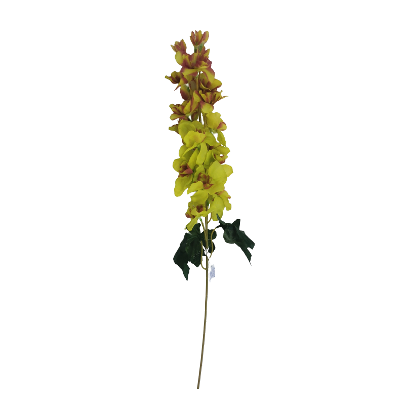 Ostrožka zeleno-vínová 75 cm