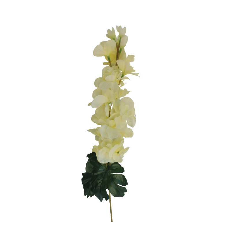 Ostrožka krémová 75 cm