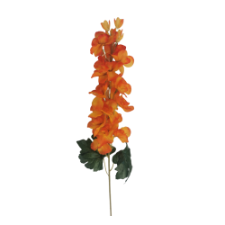 Ostrožka oranžová 75 cm