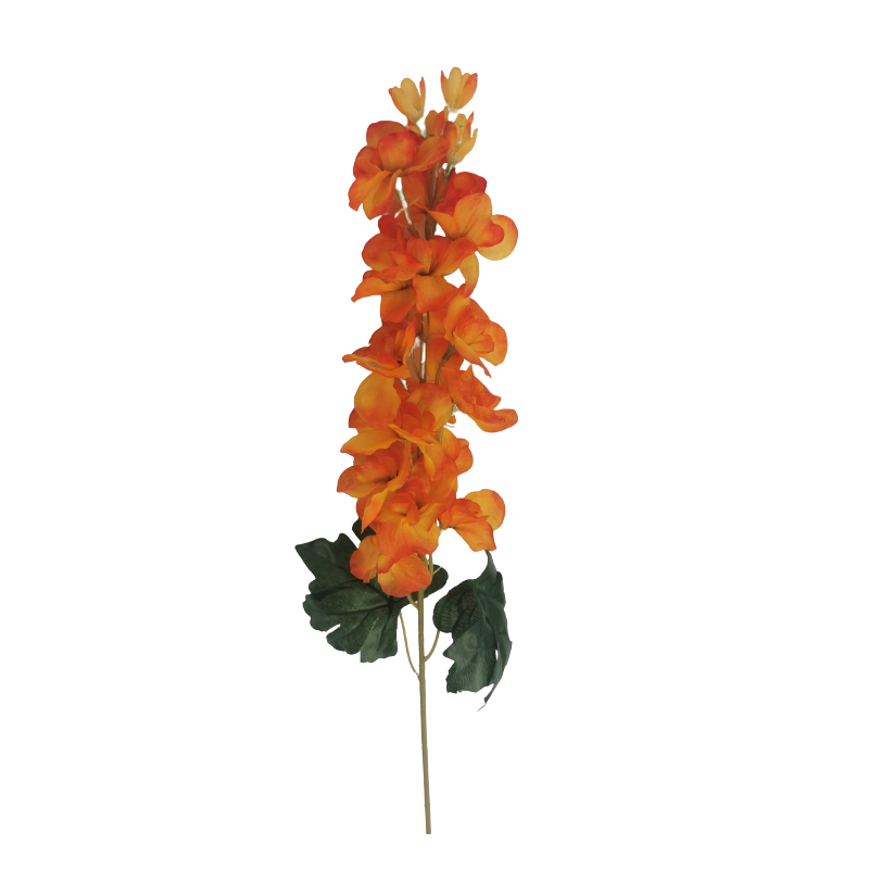 Ostrožka oranžová 75 cm