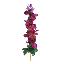 Ostrožka fialovo-fialová 75 cm