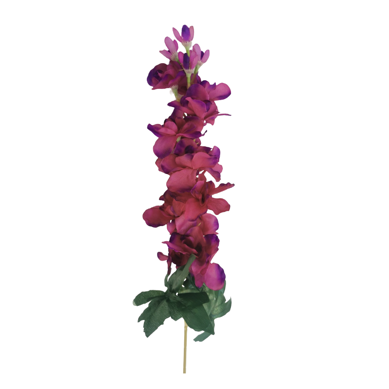 Ostrožka fialovo-fialová 75 cm