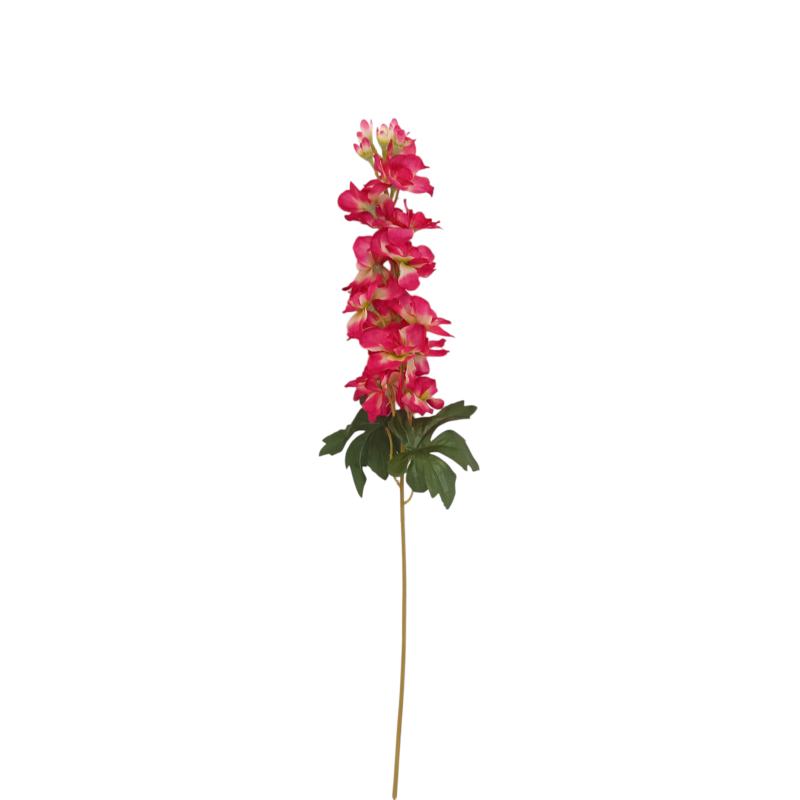 Ostrožka vínovo-bílá 75 cm