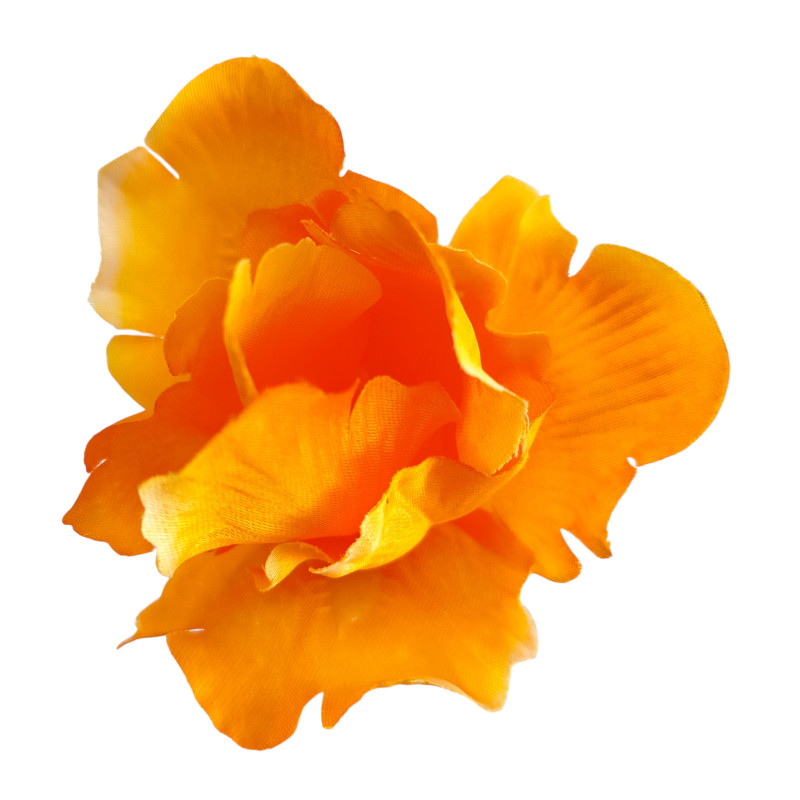 Iris oranžový vazbový 8*10 cm