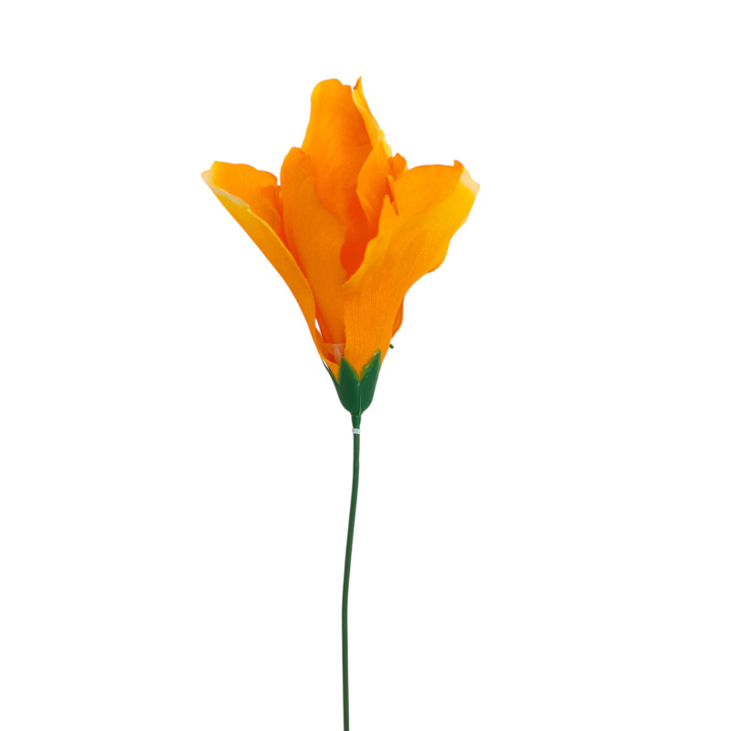 Iris oranžový vazbový 8*10 cm