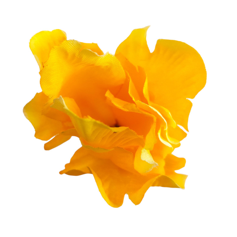 Iris žlutý vazbový 8*10 cm
