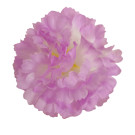 Karafiát LILA vazbový Ø 8 cm