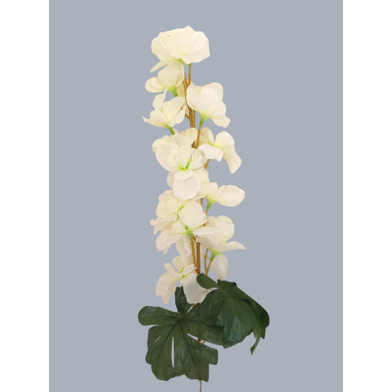 Ostrožka bílo-zelená 75 cm