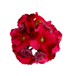Hortenzie vínovo-zelená vazbová Ø 17 cm