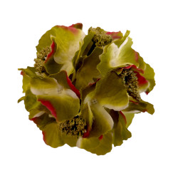Hortenzie krémová vazbová Ø 17 cm