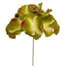 Hortenzie krémová vazbová Ø 17 cm