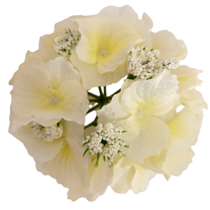 Hortenzie sv. zelená vazbová Ø 17 cm