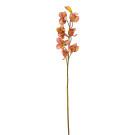 Orchidej Cybidium růžovo-žlutá 90 cm