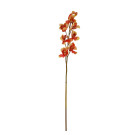 Orchidej Cybidium oranžovo-žlutá 90 cm