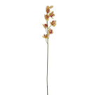 Orchidej Cybidium krémovo-růžová 90 cm