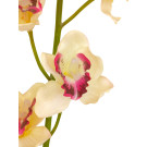 Orchidej Cybidium krémovo-růžová 90 cm